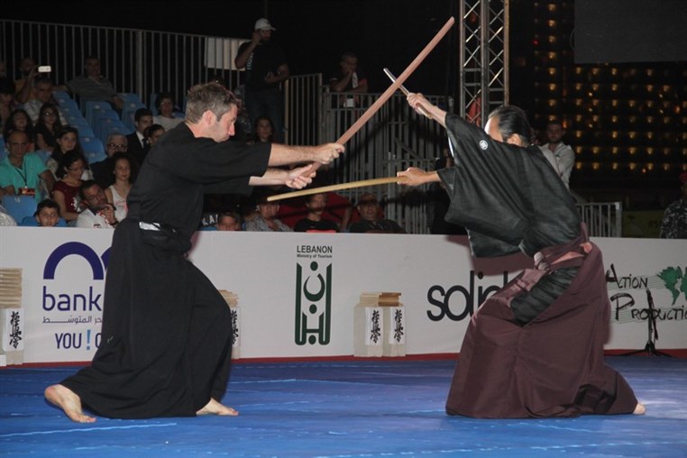 Martial Arts Festival